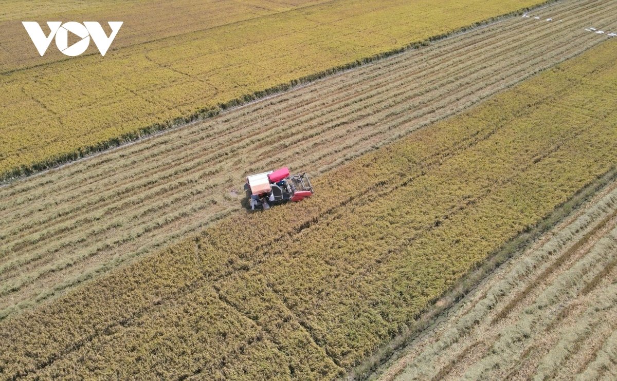 Nông sản Việt nguy cơ mất tới 8 tỷ USD do xung đột Trung Đông